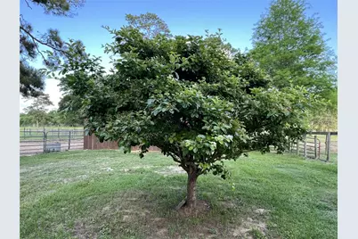 12494-725 Hill Creek Road, Montgomery, TX 77356 - Photo 27