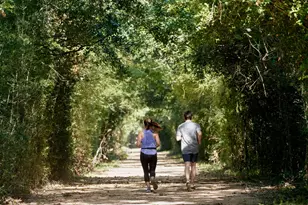 10919 Day Jassamine Wy, Cypress, TX 77433 - Photo 35