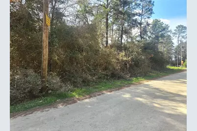 Lot 3 Live Oak Drive, Plantersville, TX 77363 - Photo 17