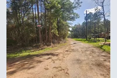 Lot 3 Live Oak Drive, Plantersville, TX 77363 - Photo 1
