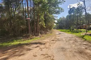 Lot 3 Live Oak Dr, Plantersville, TX 77363 - Photo 1