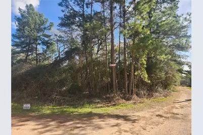 Lot 3 Live Oak Drive, Plantersville, TX 77363 - Photo 3