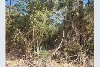 Lot 3 Live Oak Drive, Plantersville, TX 77363 - Photo 7