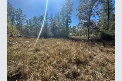 690 Jim Fenley Loop, Lufkin, TX 75901 - Photo 3