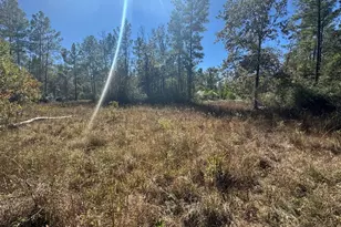 690 Jim Fenley Loop, Lufkin, TX 75901 - Photo 3