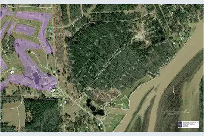 Lot 36 Lake Livingston Lane, Trinity, TX 75862 - Photo 3