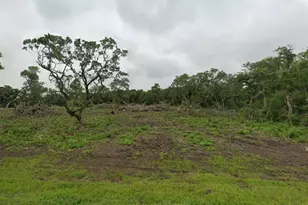 Lot 5 County Road 819, Brazoria, TX 77422 - Photo 1