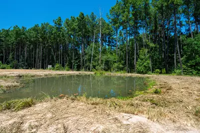 801 Pelican Road, Shepherd, TX 77371 - Photo 9