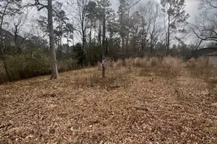 48 Magnolia Rd, New Caney, TX 77357 - Photo 3