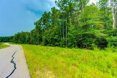Lot 24 Sandpiper Drive, Huntsville, TX 77358 - Photo 9