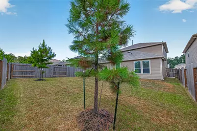 338 Shady Cedar Hill Lane, Conroe, TX 77378 - Photo 49