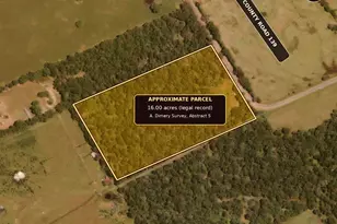 Tbd County Road 139, Leona, TX 75850 - Photo 1
