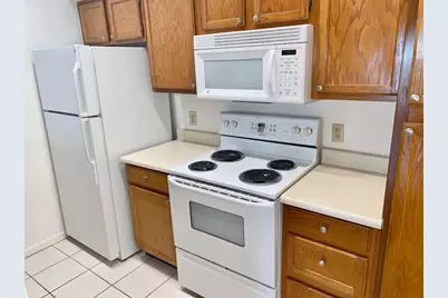 2121 El Paseo Street #1604, Houston, TX 77054 - Photo 7