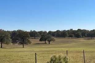 1111 Pine Ranch Rd, Seguin, TX 78155 - Photo 11