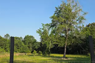 1322 Rd 5263, Cleveland, TX 77327 - Photo 9