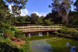 1610 Calumet St, Houston, TX 77004 - Photo 45