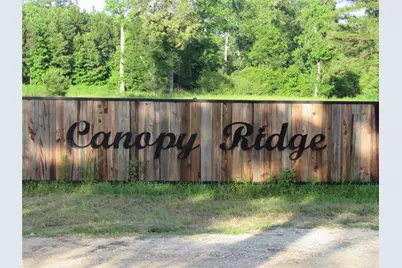 Tbd Canopy Ridge Trail, Kennard, TX 75847 - Photo 3