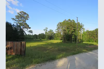 Tbd Canopy Ridge Trail, Kennard, TX 75847 - Photo 5