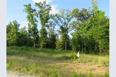 Tbd Canopy Ridge Trail, Kennard, TX 75847 - Photo 13