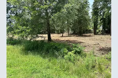 0 Tallow Drive, Conroe, TX 77385 - Photo 11