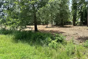 0 Tallow Dr, Conroe, TX 77385 - Photo 11