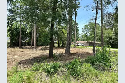 0 Tallow Drive, Conroe, TX 77385 - Photo 3