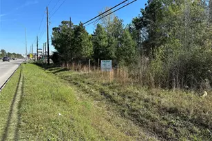 Tbd Fm 1774 Rd, Magnolia, TX 77355 - Photo 5