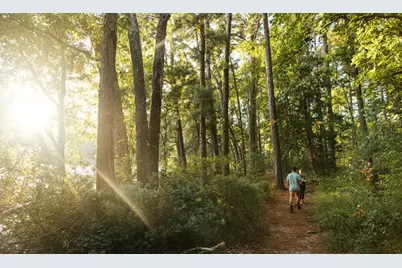 14-37-3 Dipping Vat Road, New Waverly, TX 77358 - Photo 17