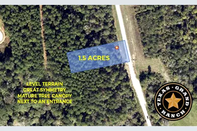 14-37-3 Dipping Vat Road, New Waverly, TX 77358 - Photo 1