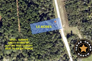 14-37-3 Dipping Vat Rd, New Waverly, TX 77358 - Photo 1