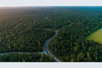 14-37-3 Dipping Vat Road, New Waverly, TX 77358 - Photo 15