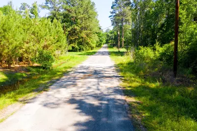 Lot 17 Anglers Drive, Trinity, TX 75862 - Photo 5