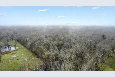 0 Wolfe Creek Road, Shepherd, TX 77371 - Photo 5