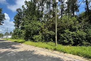 00 Hickory Ln, Splendora, TX 77372 - Photo 1