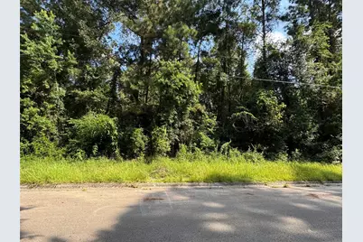 00 Hickory Ln, Splendora, TX 77372 - Photo 3