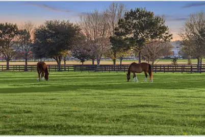 12606 Walther Court, Magnolia, TX 77354 - Photo 3