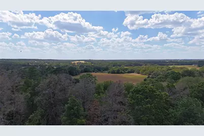 Tbd (Tract 8 and 13) Saint Delight Road, Paige, TX 78659 - Photo 5