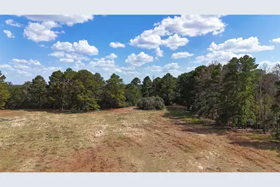 Tbd (Tract 8 and 13) Saint Delight Road, Paige, TX 78659 - Photo 13