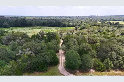 Tbd (Tract 8 and 13) Saint Delight Road, Paige, TX 78659 - Photo 17