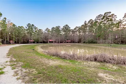 306 Sundog Road, Huntsville, TX 77340 - Photo 11