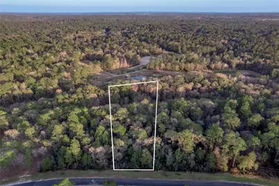 306 Sundog Road, Huntsville, TX 77340 - Photo 5