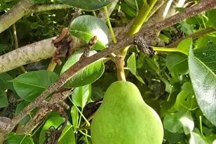 24642 Cornell Park Ln, Katy, TX 77494 - Photo 49