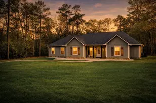 10040 Shepard Hill Rd, Willis, TX 77318 - Photo 1