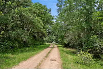 1168 Pargac Lane, Columbus, TX 78934 - Photo 9