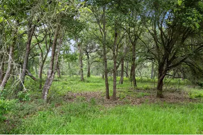 1168 Pargac Lane, Columbus, TX 78934 - Photo 5