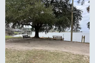 380 Governors Hogg Drive, Point Blank, TX 77364 - Photo 29