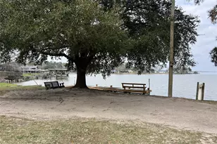 380 Governors Hogg Dr, Point Blank, TX 77364 - Photo 29