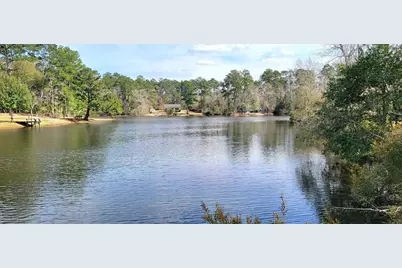 250 Wood Haven Haven, Livingston, TX 77351 - Photo 15