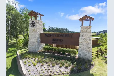556 Ruby Bend Drive, Montgomery, TX 77356 - Photo 37