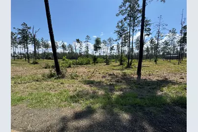 081 Private Road 6026, Brookeland, TX 75931 - Photo 3